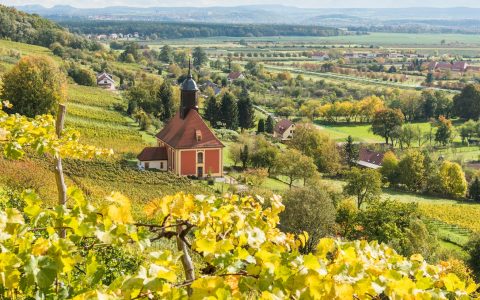 Genussvoll: Tage des offenen Weingutes